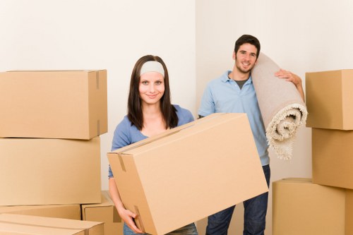 Packing materials and organised moving boxes for a New Cross relocation