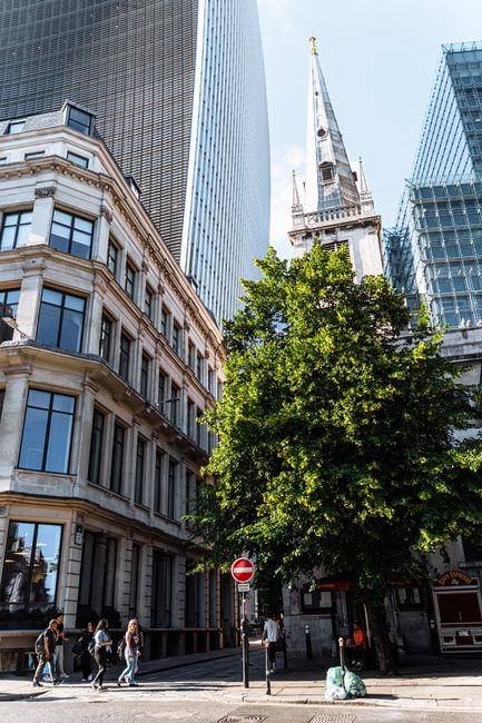A city street scene in New Cross with a large, leafy green tree positioned in the foreground. To the left, there is a classic multi-story building with cream-colored stone facades, large windows with dark frames, and decorative architectural details. Behind the tree, a modern glass skyscraper reflects the surrounding structures, while to the right, part of a historic church with a tall, pointed spire is visible, contrasting with the contemporary architecture. The street includes a sidewalk where several pedestrians are walking, some carrying bags, and a red 'no entry' traffic sign is positioned near the tree. The environment is well-lit with natural daylight, indicating daytime. This scene reflects urban surroundings suitable for house removals or furniture transport services, with the environment typical of New Cross, and the context relates to moving or relocation activities such as loading or planning a home relocation in a city setting, as discussed on 'manwithavannewcross.co.uk'.